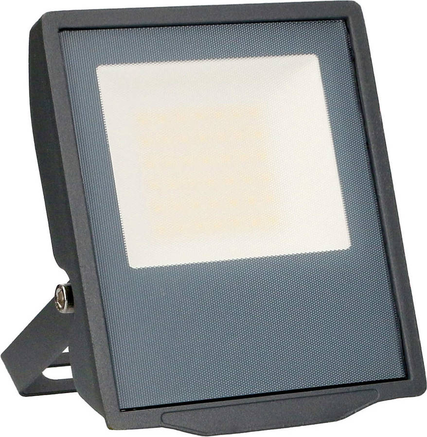 Proyector FORLIGHT Ip66 Pro Big Led 30W (Gris urbano)