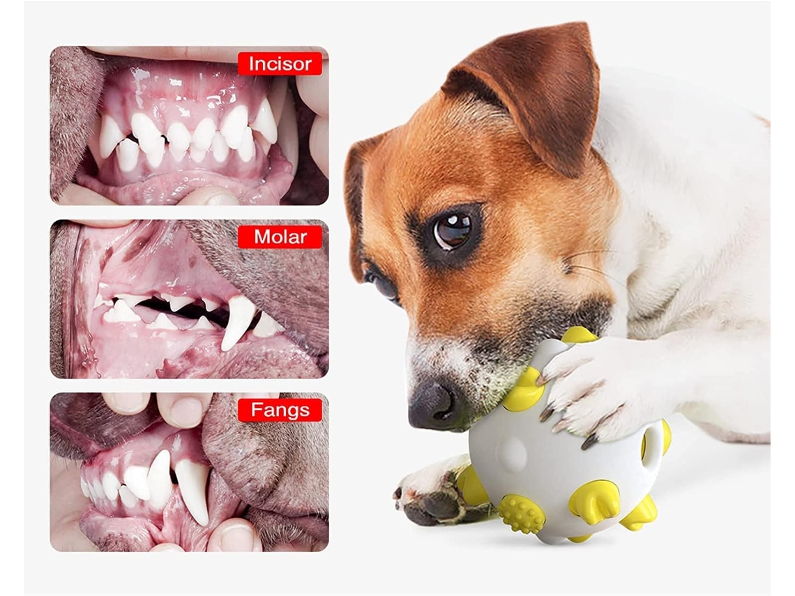 Juguetes para perros para limpiar dientes online