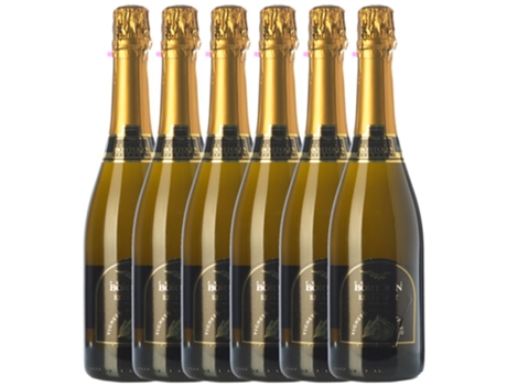 Espumante BORTOLIN Bortolin Vigneto Del Convento Extra Brut Vino Spumante Di Qualità (0.75 L - 6 unidades)