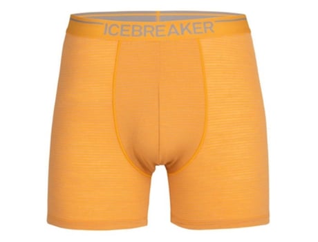 Boxer ICEBREAKER Anatomica