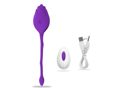 Vibrador de control remoto inalámbrico de huevo de salto de rosa de 10 modos (púrpura) VEANXIN