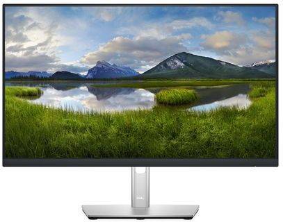 Monitor DELL P2422H (23.8'' - FHD - LED)