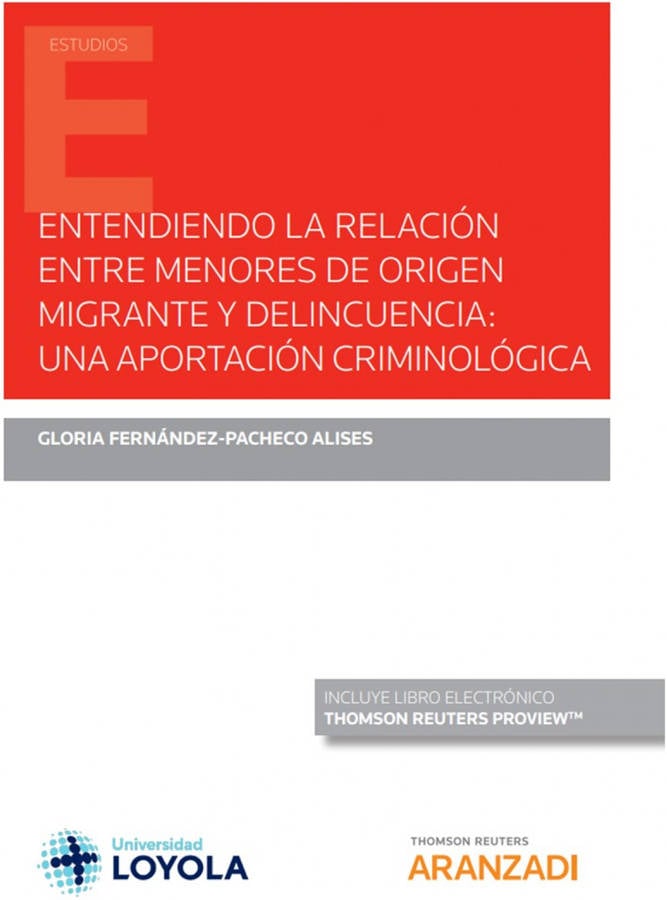 Libro Entendiendo La Relacion Entre Menores Origen Migrante Delin de Glori Fernandez Pacheco Alises (Español)