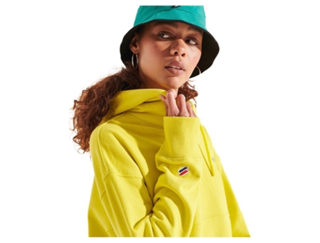 Superdry Corporate Logo Brights Hoodie