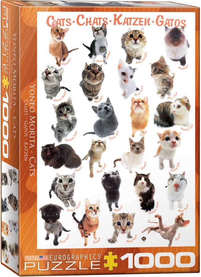 Puzzles Eurographics Cats 1000 pcs piezas 1000pcs rompecabezas animales niños y