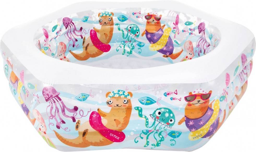 Piscina Infantil INTEX Ocean Reef Pool (541l - 260x160x46cm)