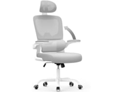 Silla de Escritorio Ergonómica NASPALURO Gris (Apoyo lumbar y reposacabezas y reposabrazos ajustables)