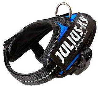 Arnés para Perros JULIUS K9 (Azul - 58-76x4cm - Nylon - M - Porte Medio)