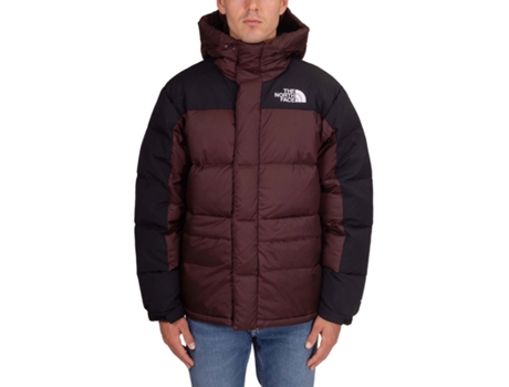 Parka de Hombre THE NORTH FACE Marrón (S)