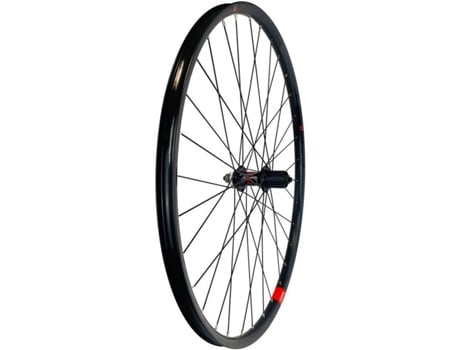 Rueda Trasera para Ciclismo de montaña GURPIL Mtb Alpha Cl Disc Tubeless (29´´)