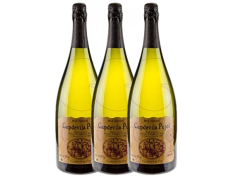 Espumante VINS I CAVES BLANCHER Vins I Caves Blancher Capdevila Pujol Brut Nature Cava Reserva (1.5 L - 3 unidades)