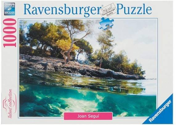 Puzzle RAVENSBURGUER Puntos De Vista (Edad Mínima: 12 Anos - 1000 Piezas)