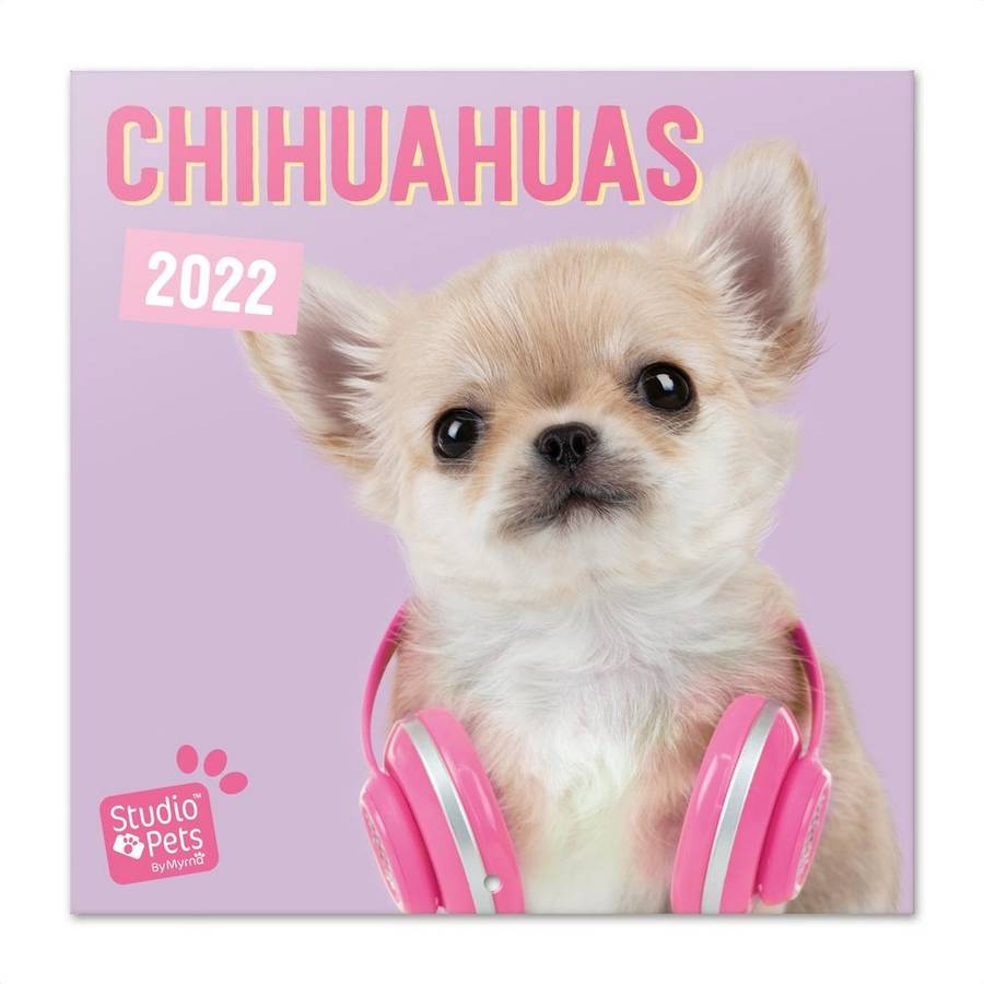 Calendario ERIK EDITORES 2022 30X30 Studio Pets Chihuahuas