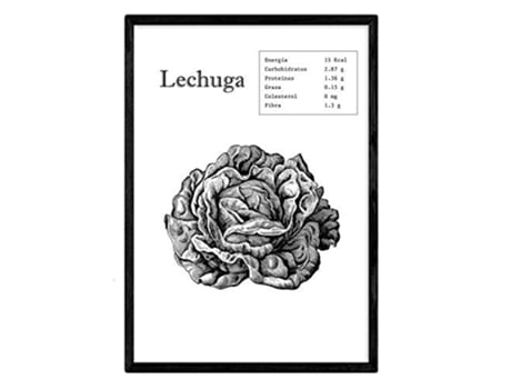 Poster NACNIC de Lechuga (A3)