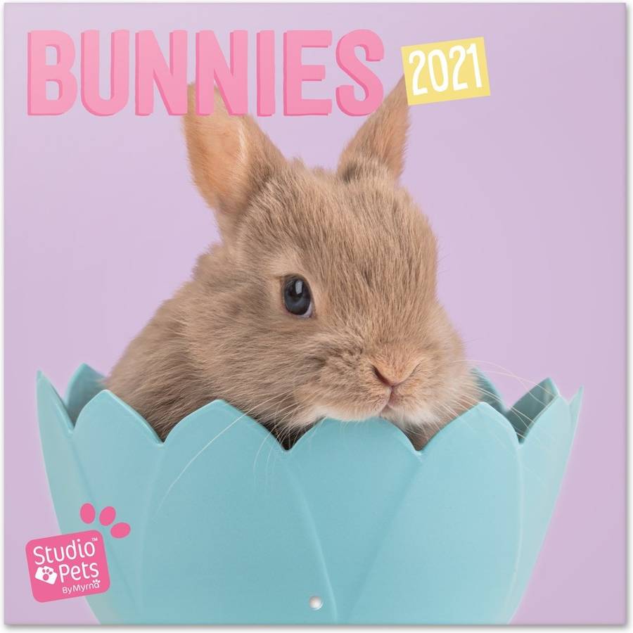 Calendario OFIURIA Studio Pets Bunny (2021 - 30 x 30 cm)