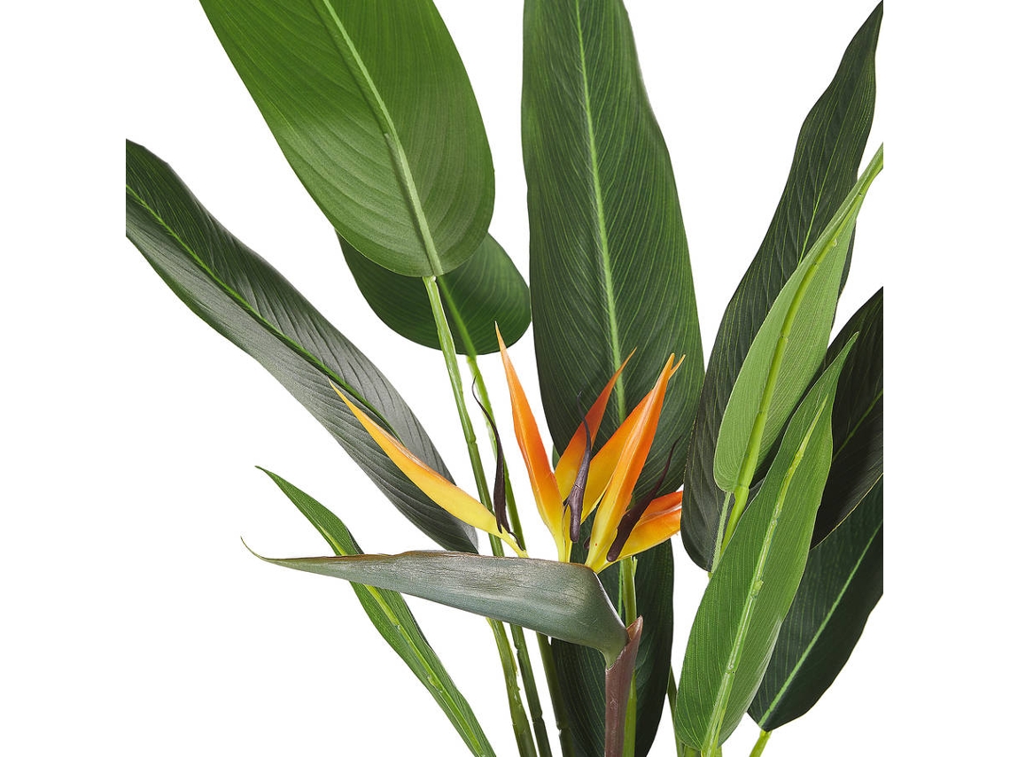 Planta Artificial BELIANI Strelitzia Tree (Verde - 13x13x115 cm) 