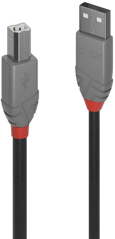 Cable USB LINDY (USB - USB)