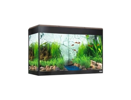 FLUVAL Roma Bluetooth Led Aquário 125L Nogueira