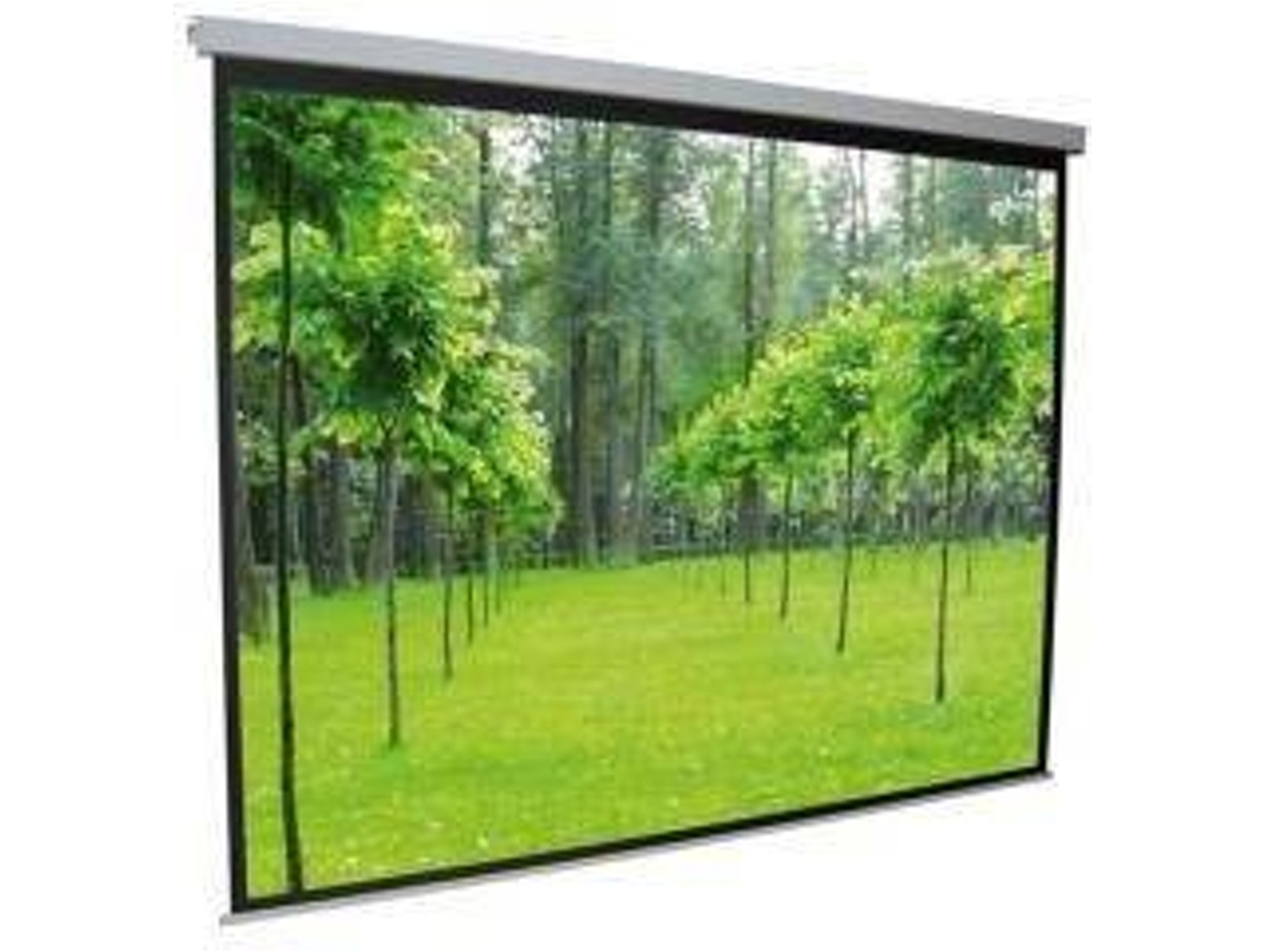 Pantalla Proyector PLUSSCREEN PN244-4WA