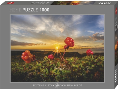 Puzzle 1000 Pcs Cloudberries (9 años)