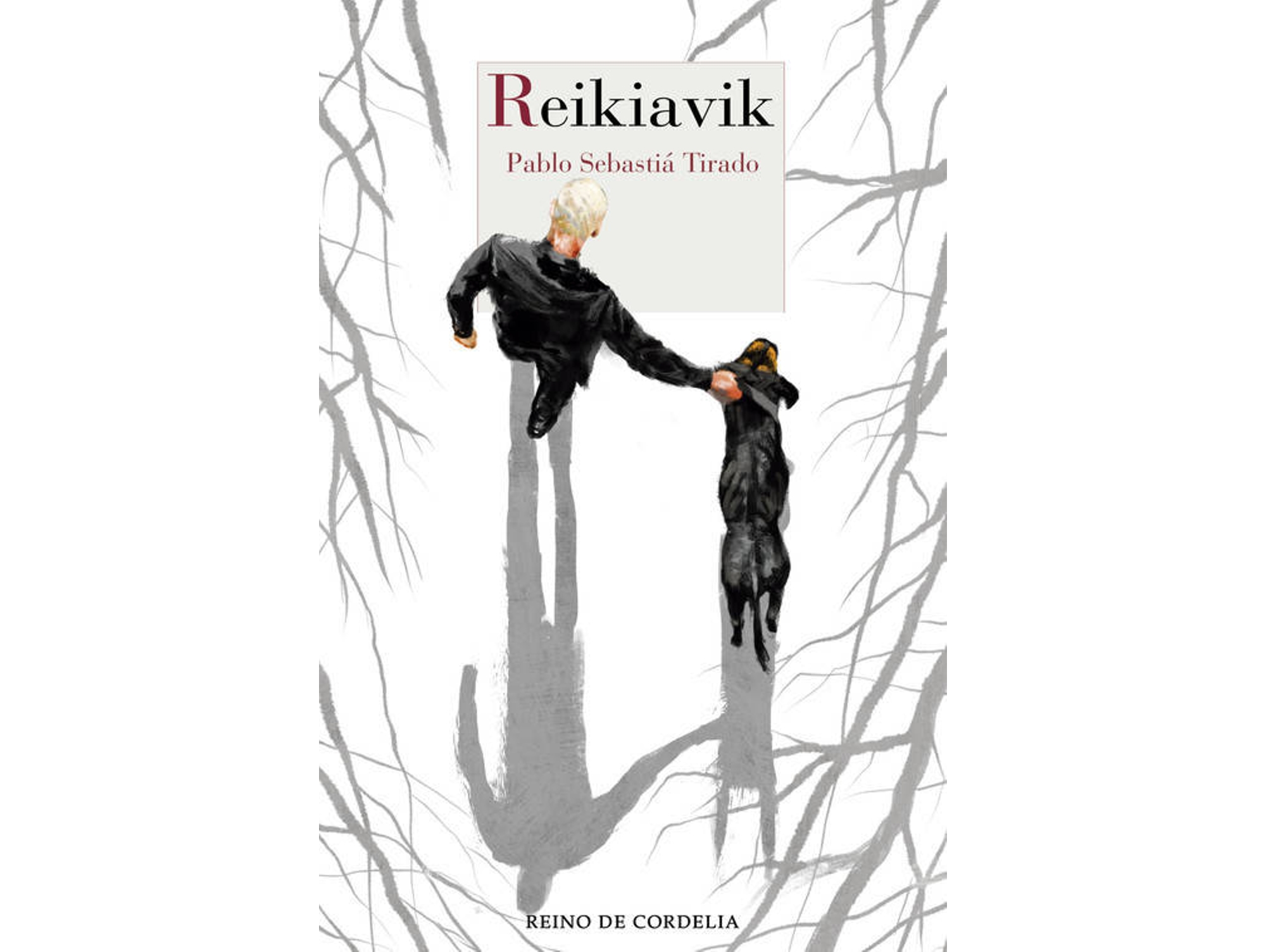 Libro Reikiavik