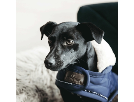 Chaqueta Perros Unisex KENTUCKY DOGWEAR (71/80 cm - Piel Sintética - Azul)