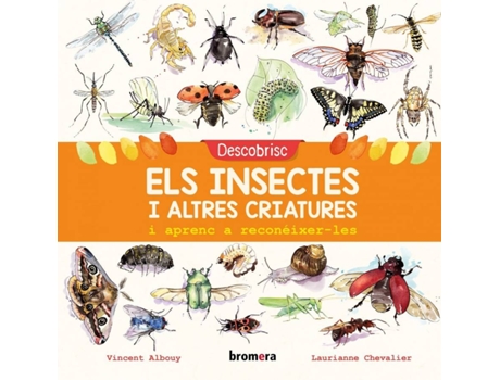 Libro Descobrisc Els Insectes I Altres Criatures I Aprenc A Reconèixer-Les de Vicent Albouy (Catalão)