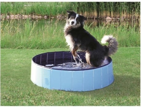 Piscina para Perros TRIXIE (Azul - 160x30cm - Plástico - 1 Un)