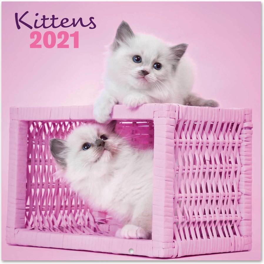 Calendario ANIMALES Chantrenne Cat (2021 - 30 x 30 cm)