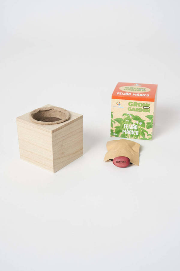 Kit de Ciencia AMBARSCIENCE Grow your Garden - Frijol Mágico (Edad Minima: 3 años)