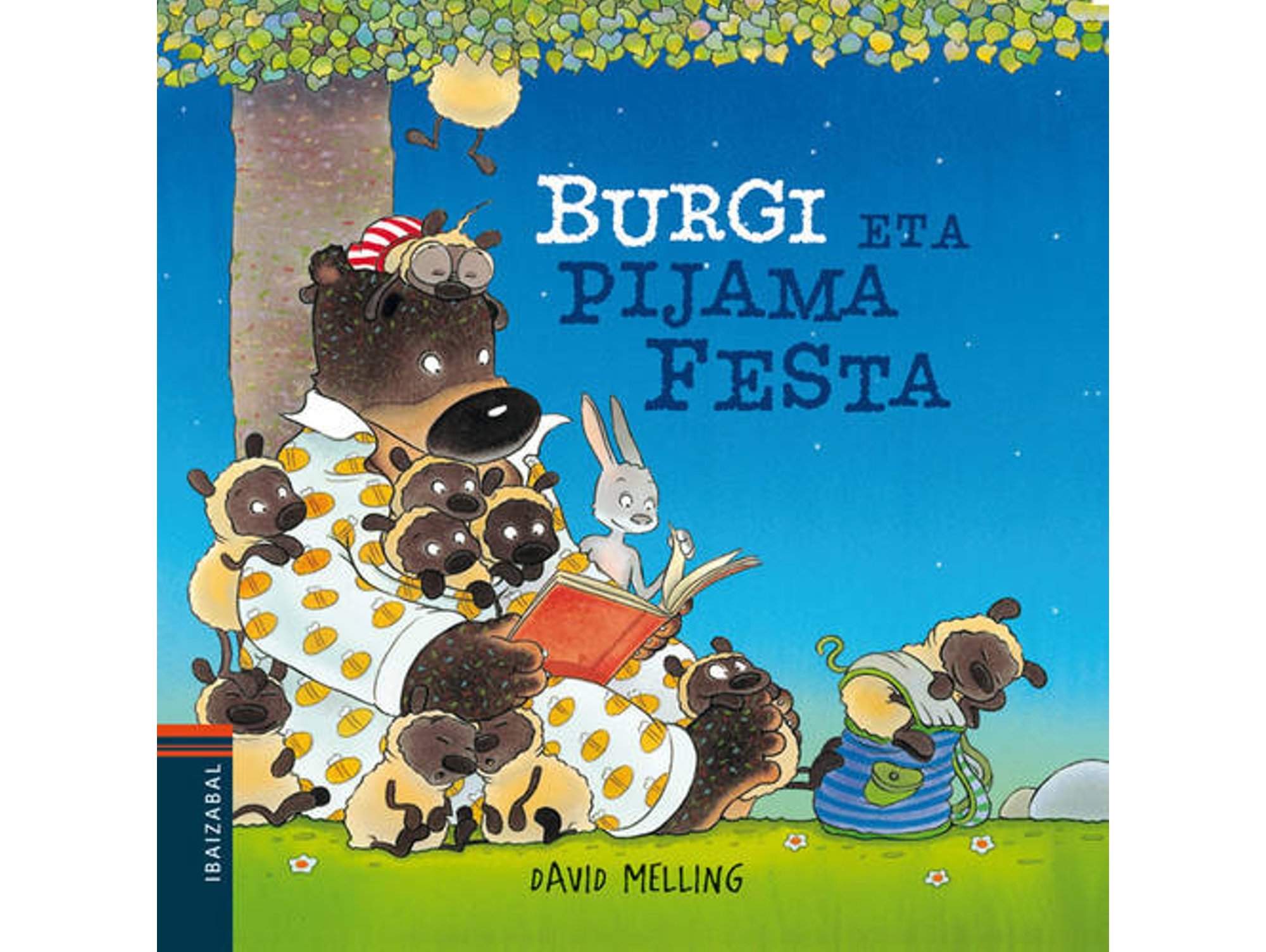 Libro Burgi Eta Pijama Festa de Vários Autores