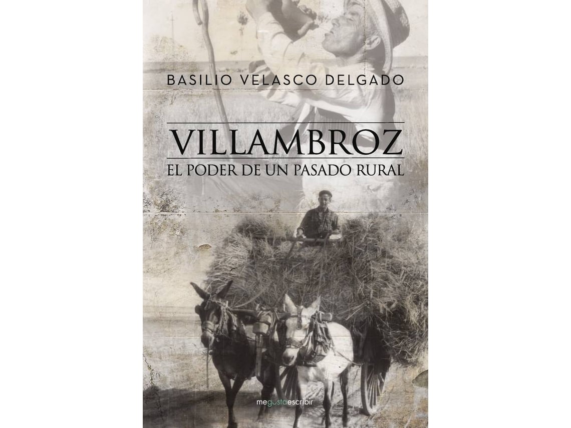 Villambroz El Poder un pasado rural tapa blanda libro basilio velasco delgado español 2016