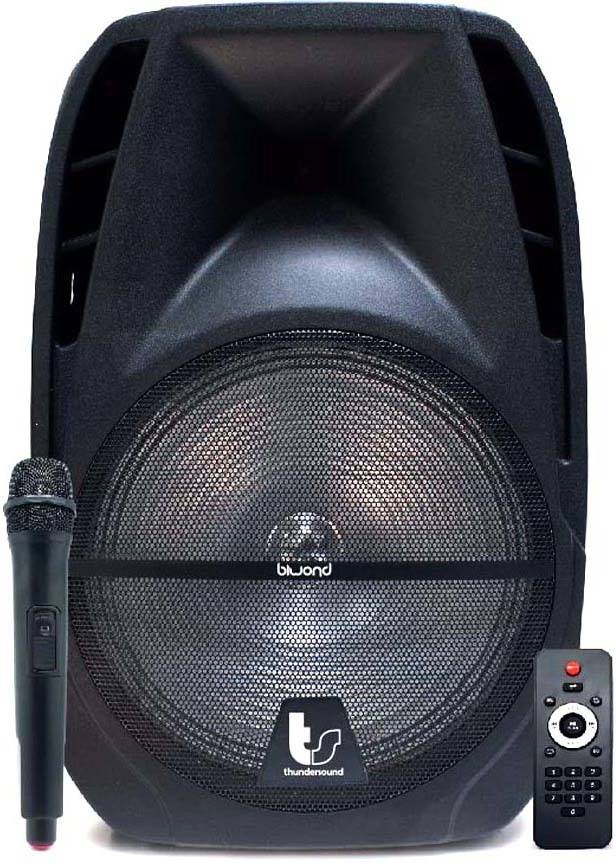 Altavoz Bluetooth BIWOND TS8" (110 W - Autonomía: 4 horas - Negro)