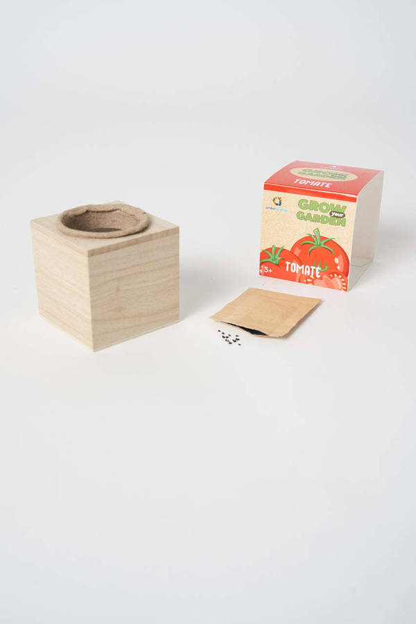 Kit de Ciencia AMBARSCIENCE Grow your Garden - Tomate (Edad Minima: 3 años)