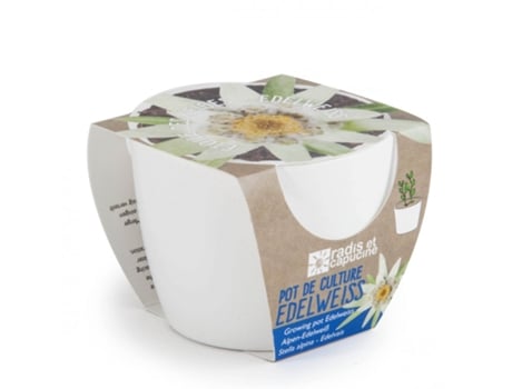 Jogo de Mesa RADIS ET CAPUCINE White Ceramic Pot 8 Cm - Edelweiss (4 Anos)