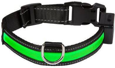 Collar para Perros EYENIMAL con Luz y Recargable (Verde - 37-50cm - Nylon - L - Porte Grande)