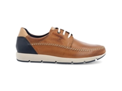 Zapatos de Hombre PITILLOS Casual Marrón (43)