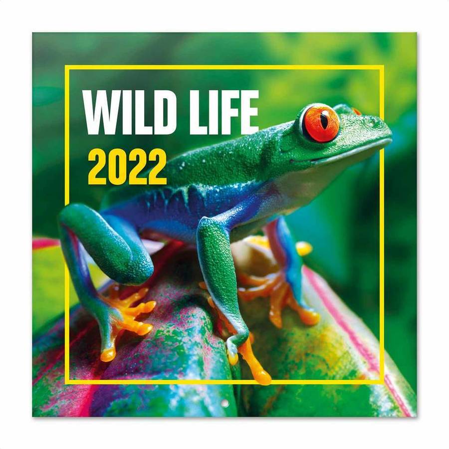 Calendario ERIK EDITORES 2022 30X30 Wildlife