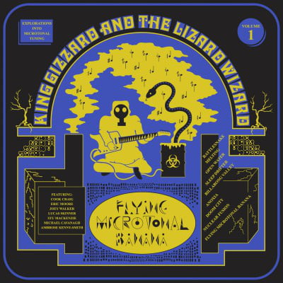 Flying Microtonal Banana cd king gizzard and the lizard wizard