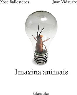 Libro Imaxina Animais de Juan Vidaurre, Xosé Ballesteros (Galego)