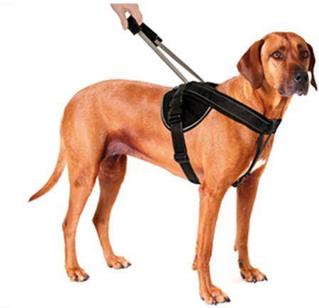 Arnés para Perros PATENTO PET Elástico (Negro - Mais de 92cm - Nylon - XXL - Porte Grande)