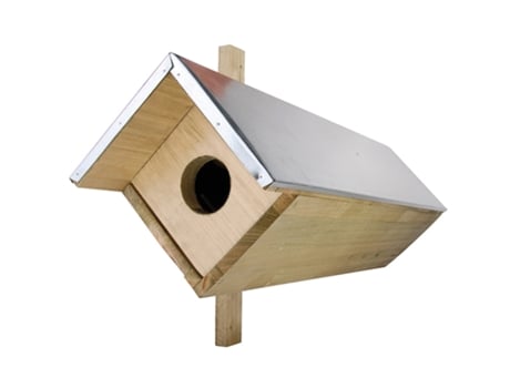 Jogo de Mesa ESSCHERT DESIGN Little Owl Box (3 Anos)