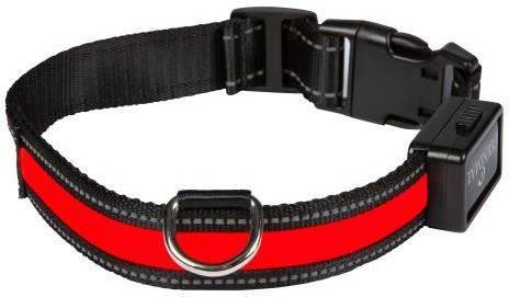 Collar para Perros EYENIMAL con Luz y Recargable (Rojo - 32-50cm - Nylon - M - Porte Medio)