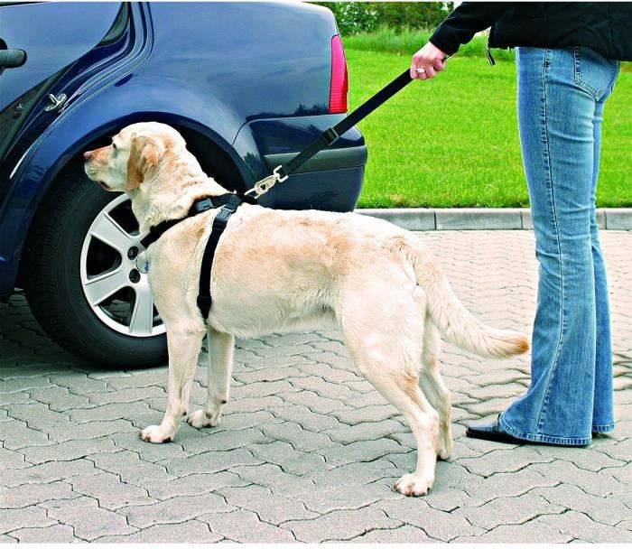 Cinturón de Seguridad para Perros TRIXIE Ajustable (Negro - 70-90cm - Nylon - L - Porte Grande)