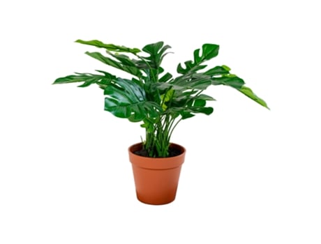 Planta artificial HOUSE NORDIC Monstera