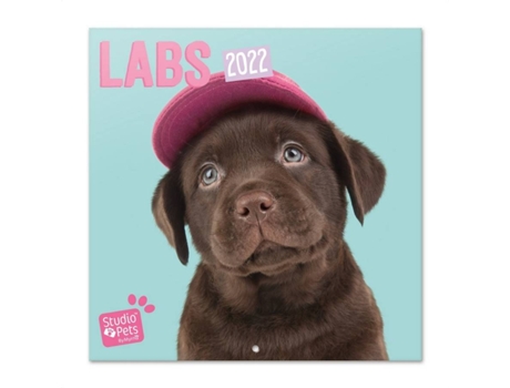 Calendario ERIK EDITORES 2022 30X30 Studio Pets Labs