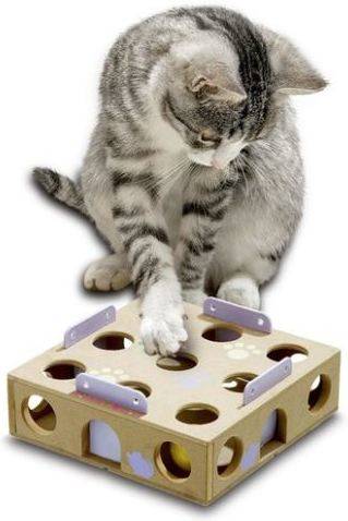 Karlie Smart Catactivity box 6 x 22 cm juguet 0 activity para con pelota