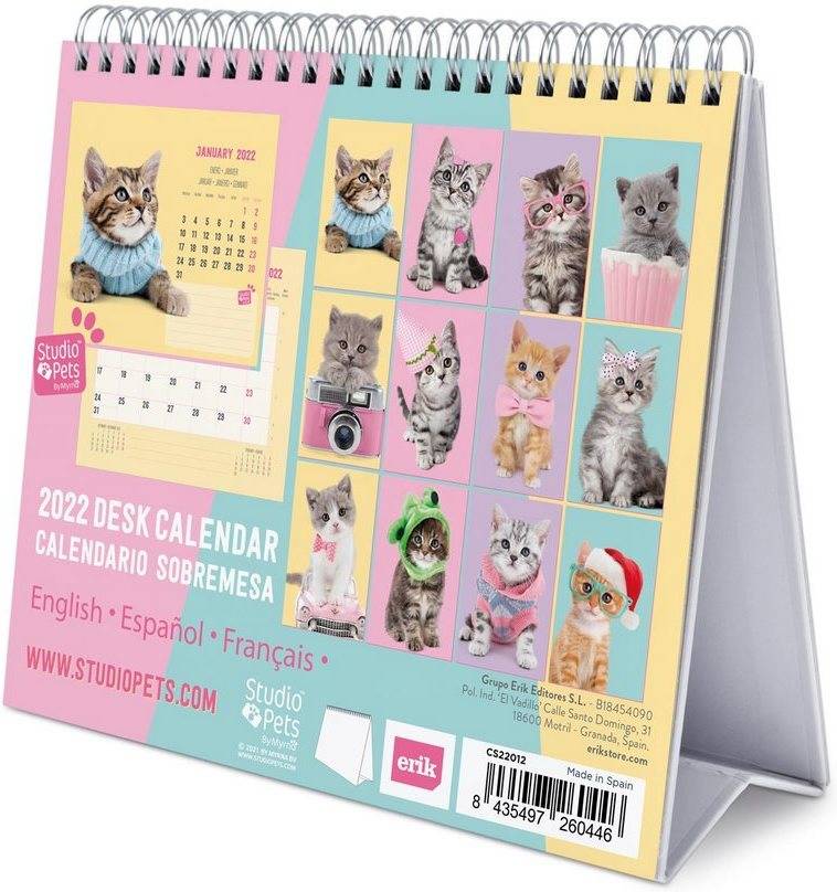 Calendario ERIK EDITORES Deluxe 2022 Studio Pets Cats