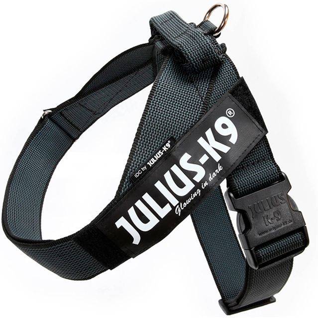 Arnés para Perros JULIUS Ajustable (Negro - 49-67cm - Hasta: 15 Kg - L - Porte Grande)