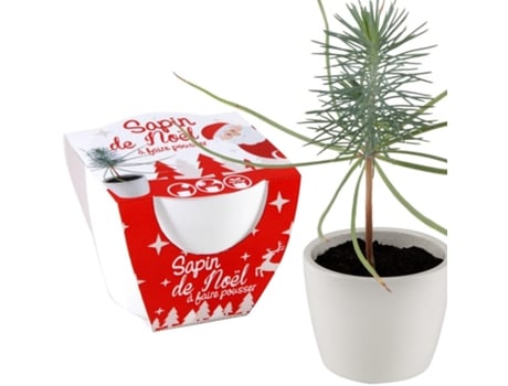 Jogo de Mesa RADIS ET CAPUCINE White Ceramic Pot 8 Cm - Christmas Tree (4 Anos)